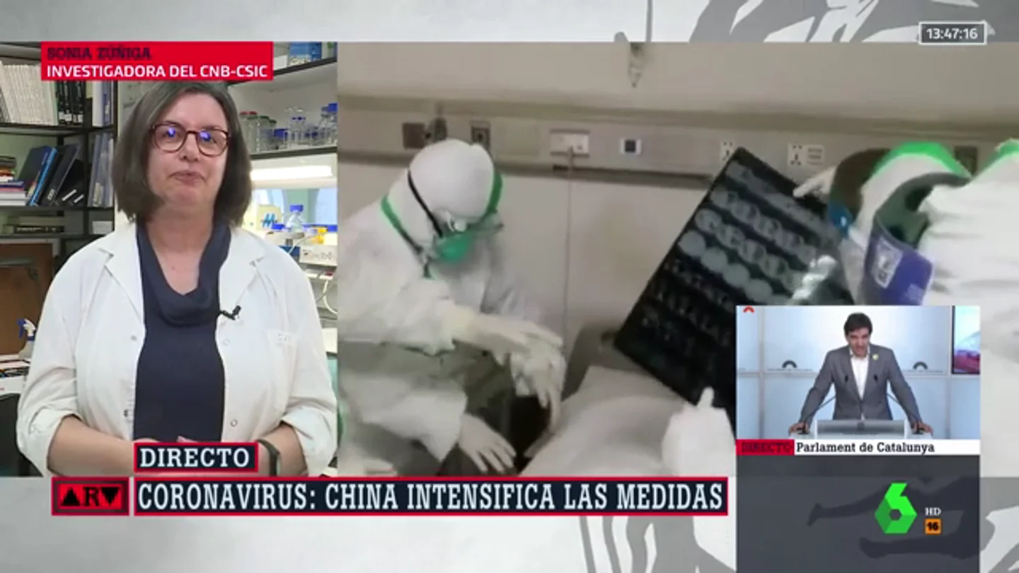 coronavirus arv coronavirus arv