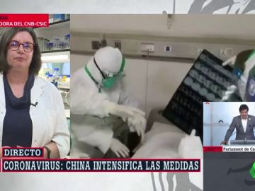coronavirus arv coronavirus arv