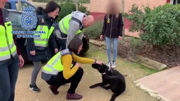 Primeras imágenes de la perra Pocahontas tras ser rescatada por la Policía de la casa del entrenador