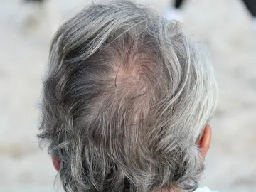 Canas Canas