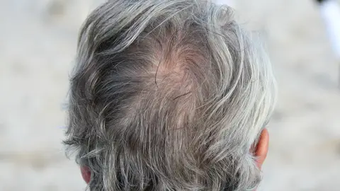 Canas Canas