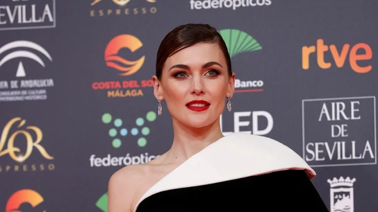La actriz Marta Nieto, a su llegada a la entrega de los Premios Goya La actriz Marta Nieto, a su llegada a la entrega de los Premios Goya
