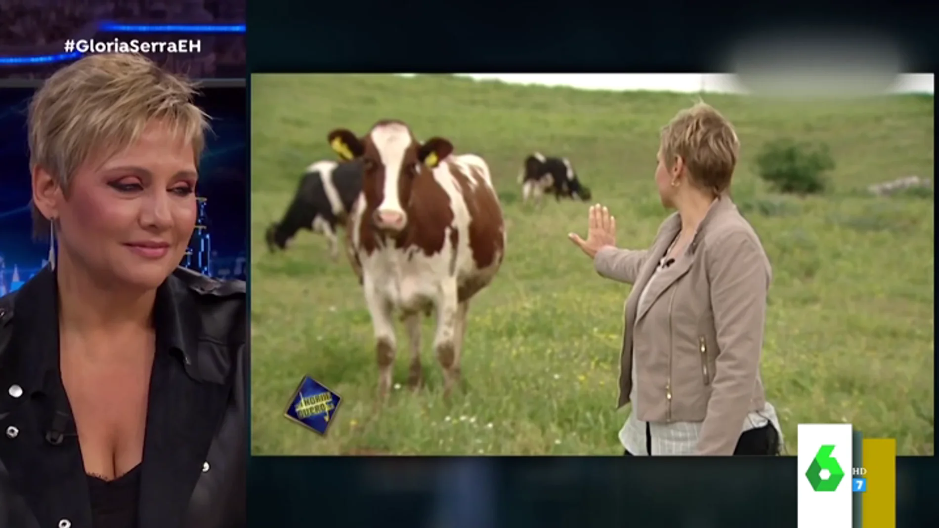 El vídeo viral de Gloria Serra frenando a una vaca: esto es lo que hubo detrás del divertido momento