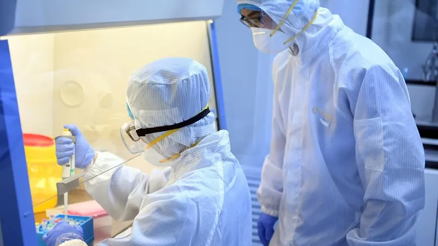 Científicos chinos trabajan en un reactivo para detectar el coronavirus Científicos chinos trabajan en un reactivo para detectar el coronavirus