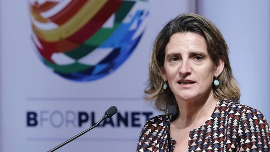 La ministra de Transición Ecológica, Teresa Ribera La ministra de Transición Ecológica, Teresa Ribera