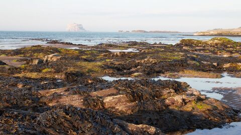 North Berwick