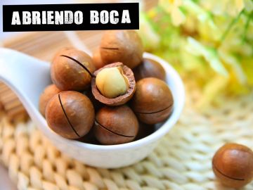Nueces de macadamia Nueces de macadamia