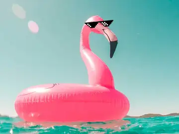 Flamenco con gafas de internauta Flamenco con gafas de internauta