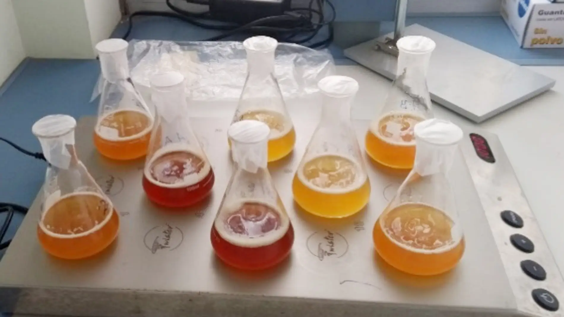 Nueva tecnica para analizar los compuestos olorosos de la cerveza