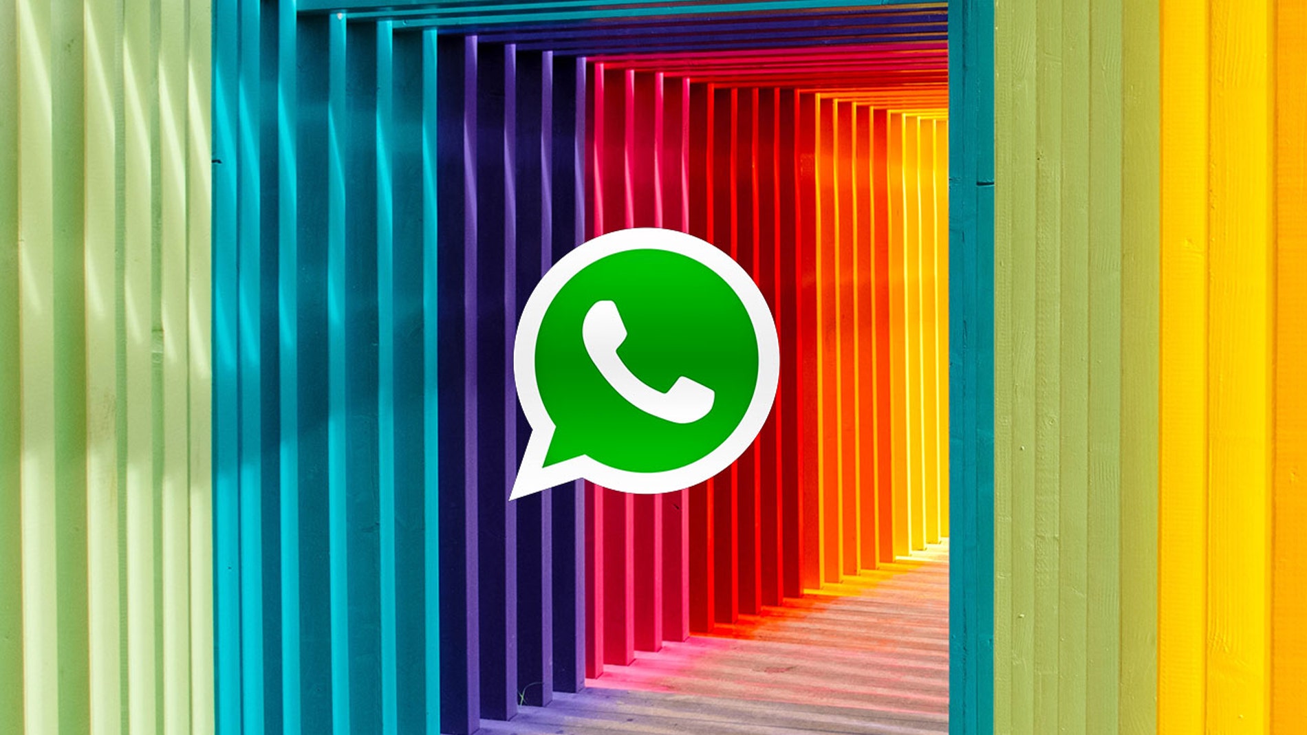 El modo oscuro de WhatsApp ahora ofrece nuevos fondos de pantalla