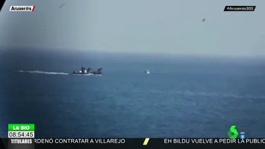La crueldad de la persecución ilegal de delfines supone multas de hasta 200.000 euros La crueldad de la persecución ilegal de delfines supone multas de hasta 200.000 euros