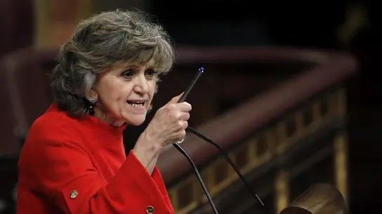 La diputada del PSOE María Luisa Carcedo La diputada del PSOE María Luisa Carcedo