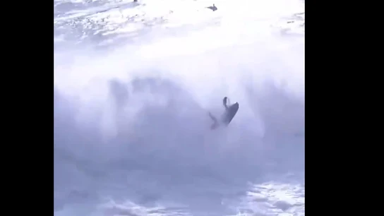 El surfista Alex Botelho remolcado por una moto de agua no logra escapar de las olas El surfista Alex Botelho remolcado por una moto de agua no logra escapar de las olas