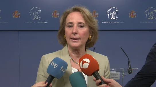 La portavoz de Igualdad de Vox en el Congreso, Lourdes Méndez La portavoz de Igualdad de Vox en el Congreso, Lourdes Méndez