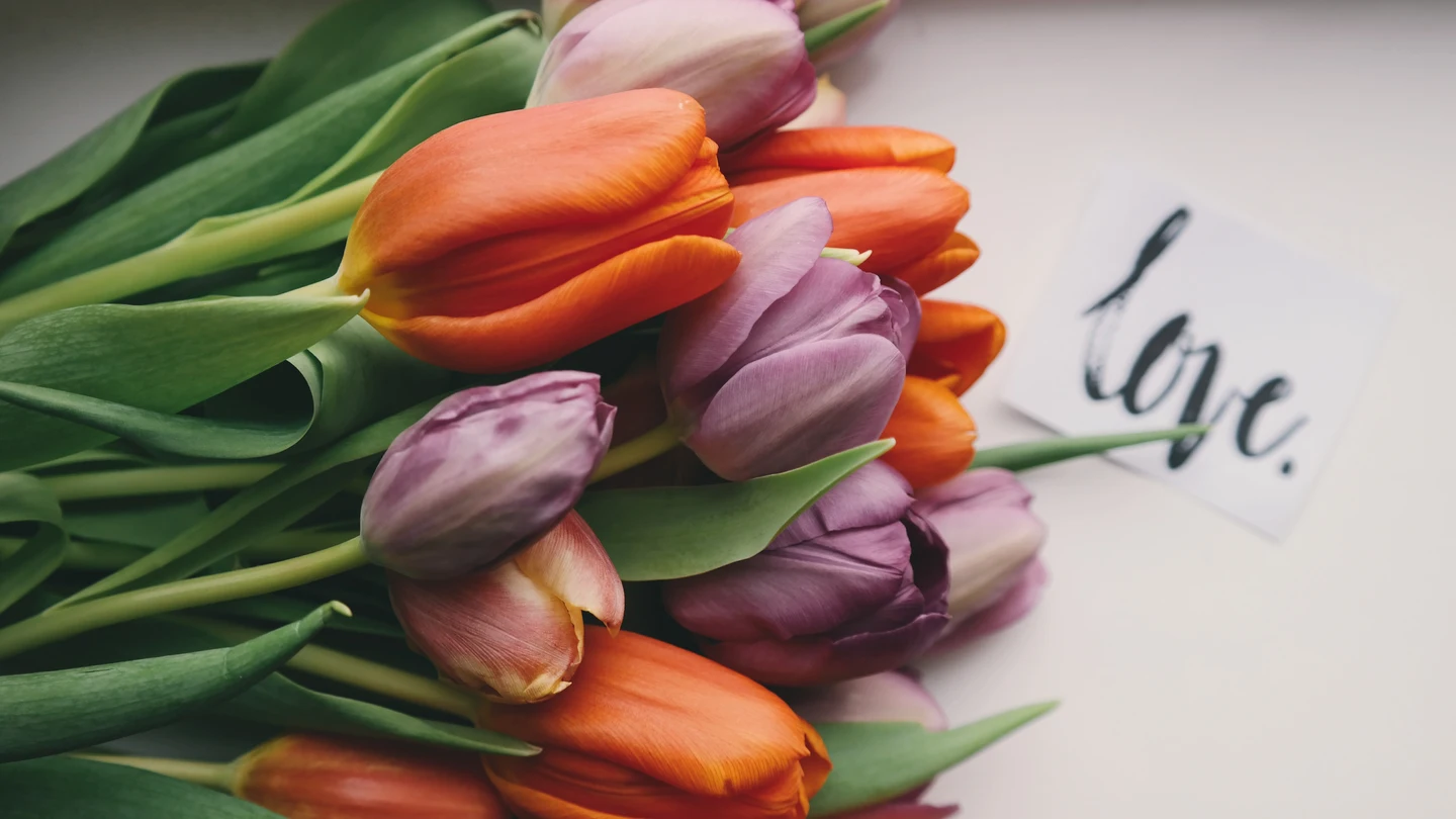 Las mejores frases para el Día de San Valentín Las mejores frases para el Día de San Valentín