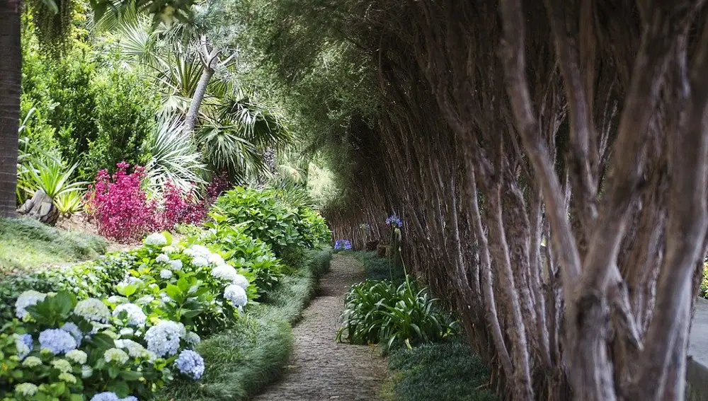 Jardines de Funchal