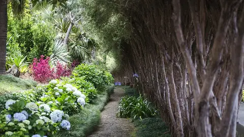 Jardines de Funchal Jardines de Funchal