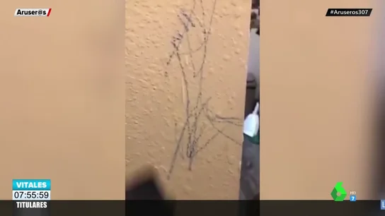 Una madre se hace viral por compartir su extraño truco para limpiar la pared: tiene que ver con mayonesa Una madre se hace viral por compartir su extraño truco para limpiar la pared: tiene que ver con mayonesa