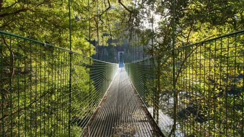 Ponte do Tambre