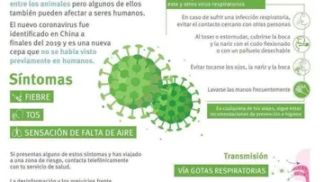 Infografía sobre los síntomas y la prevención del coronavirus