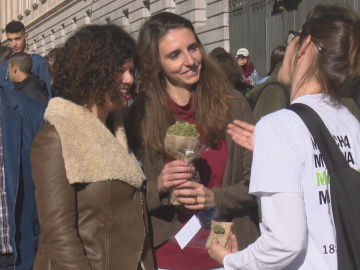 Reparto de cogollos en el Congreso Reparto de cogollos en el Congreso