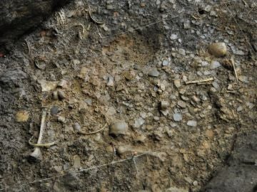La masacre que dejo nueve muertos en una cueva de Aragon hace 7.300 anos La masacre que dejo nueve muertos en una cueva de Aragon hace 7.300 anos