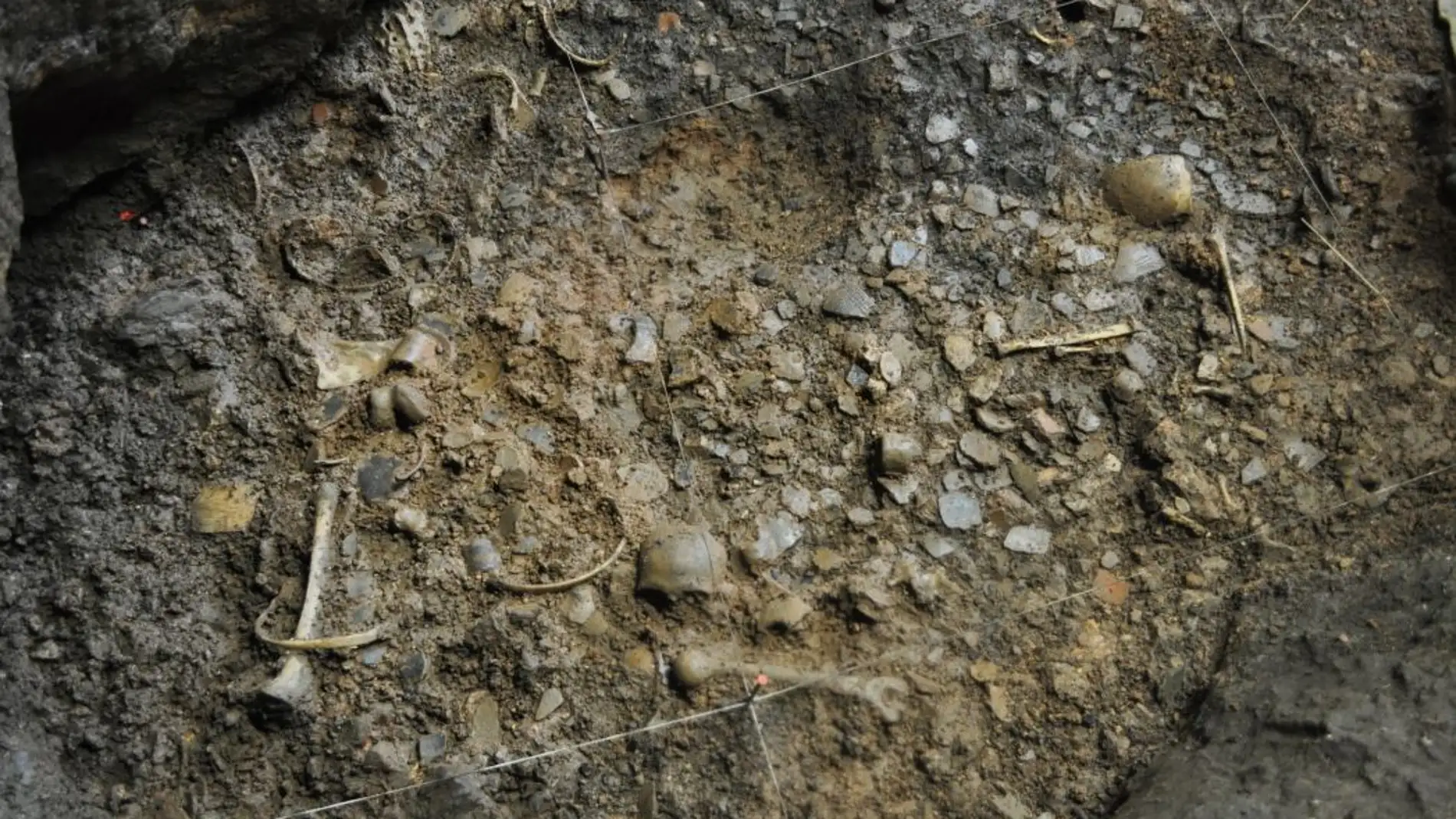 La masacre que dejo nueve muertos en una cueva de Aragon hace 7.300 anos