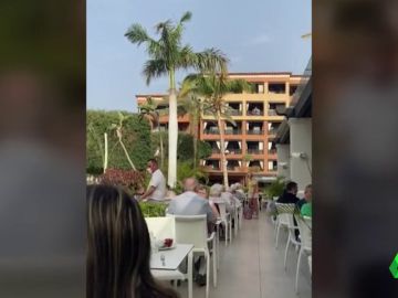 Las lágrimas de una trabajadora del hotel de Tenerife en cuarentena por coronavirus: "Estamos agotados" Las lágrimas de una trabajadora del hotel de Tenerife en cuarentena por coronavirus: "Estamos agotados"