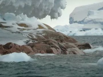 Imagen de la isla que ha aparecido en la Antártida por el deshielo glaciar Imagen de la isla que ha aparecido en la Antártida por el deshielo glaciar