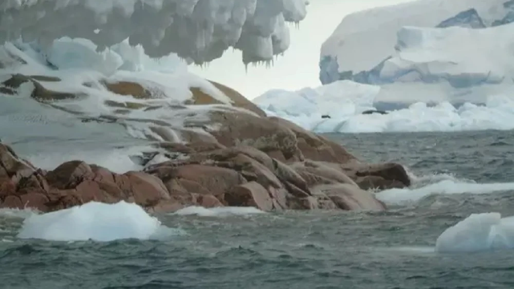 Imagen de la isla que ha aparecido en la Antártida por el deshielo glaciar