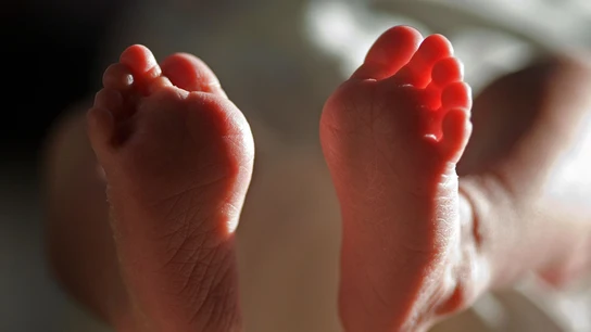 Los pies de un bebé Los pies de un bebé