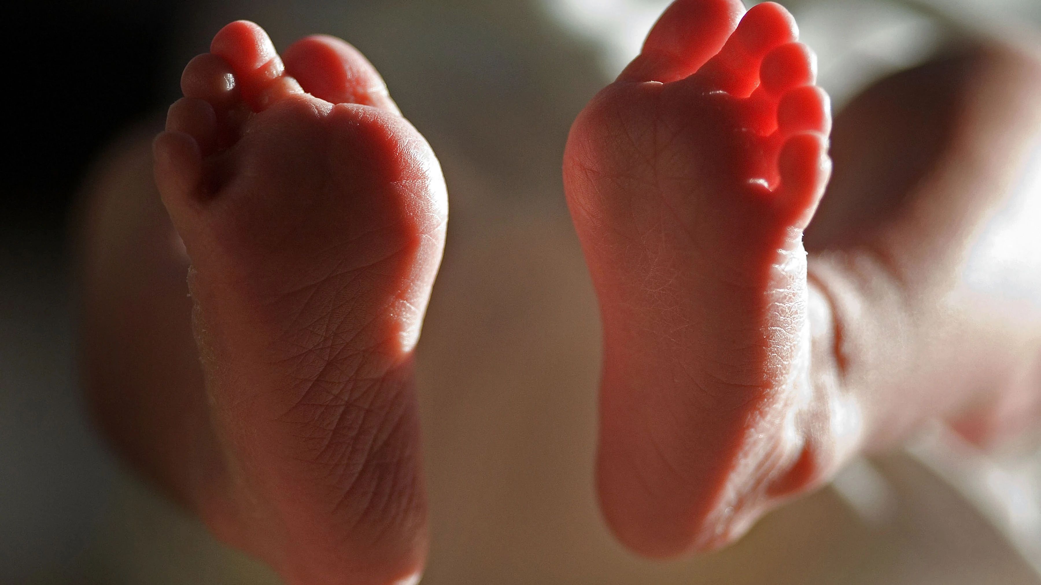 Los pies de un bebé Los pies de un bebé