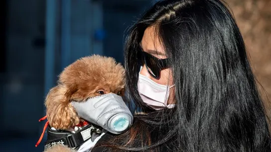 Una mujer pasea a su perro con mascarilla en Guangzhou (China) Una mujer pasea a su perro con mascarilla en Guangzhou (China)