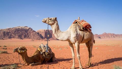 Desierto Wadi Rum