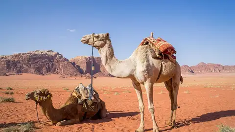 Desierto Wadi Rum Desierto Wadi Rum