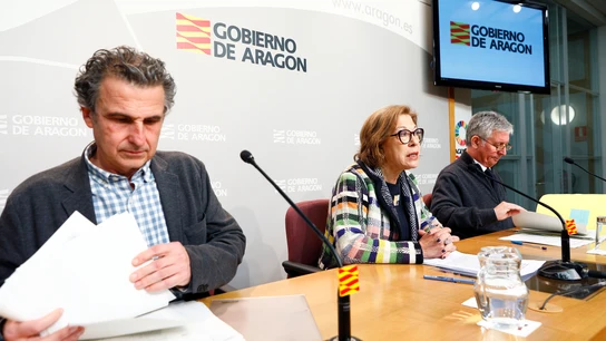 El director general de Salud Pública, Francisco Javier Falo; la consejera, Pilar Ventura; y el gerente del Servicio Aragonés de Salud, Javier Marión El director general de Salud Pública, Francisco Javier Falo; la consejera, Pilar Ventura; y el gerente del Servicio Aragonés de Salud, Javier Marión