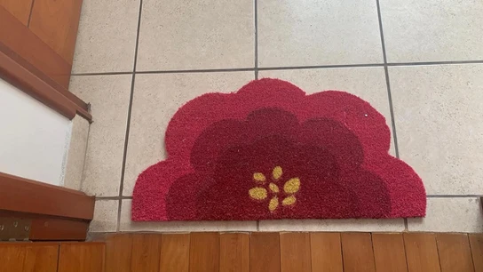 Imagen del felpudo polémico. Imagen del felpudo polémico.