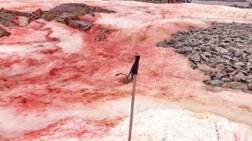 Imagen de la decoloración en rojo del hielo en la Antártida. 