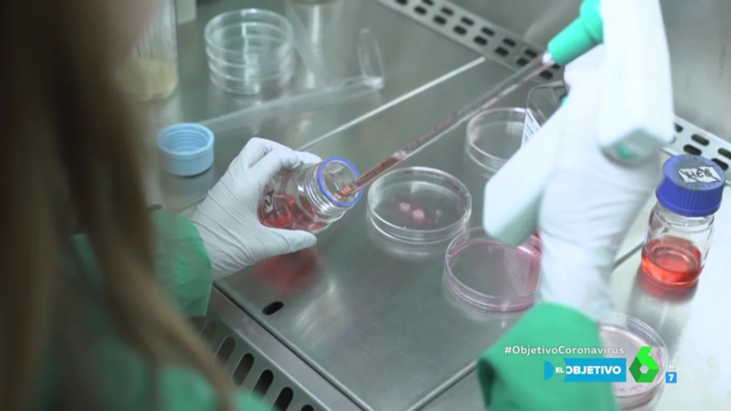 Por qué "no importaba" crear una vacuna contra el coronavirus antes del SARS: así trabaja el CSIC para frenar la epidemia Por qué "no importaba" crear una vacuna contra el coronavirus antes del SARS: así trabaja el CSIC para frenar la epidemia