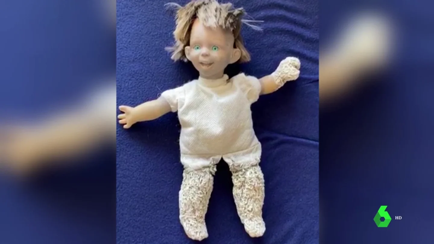 Una muñeca repleta de miles de gusanos marinos, la espeluznante imagen que deja la contaminación del Mar Menor Una muñeca repleta de miles de gusanos marinos, la espeluznante imagen que deja la contaminación del Mar Menor