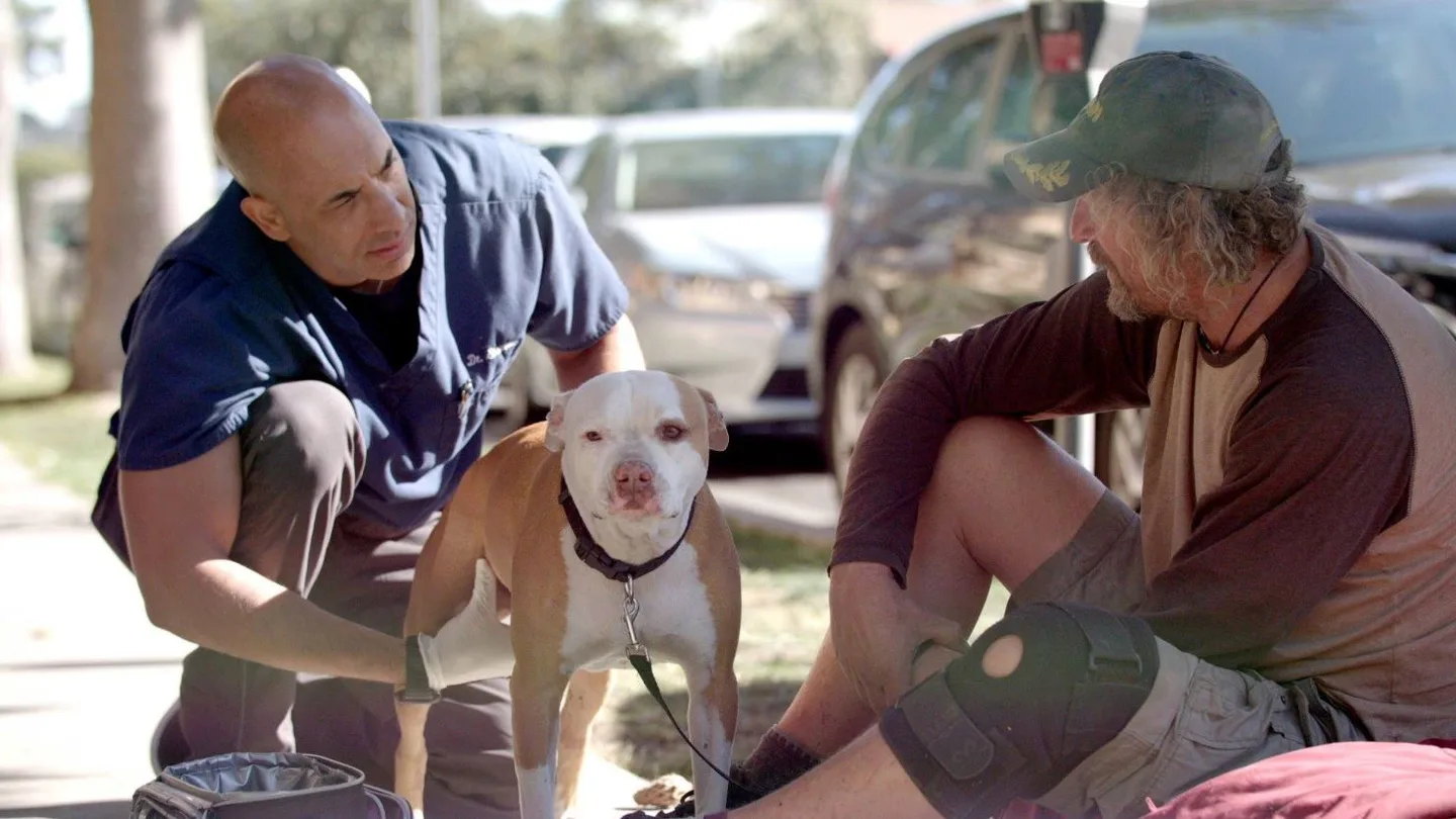 Kwane Stewart, el veterinario callejero, atiende a un perro Kwane Stewart, el veterinario callejero, atiende a un perro
