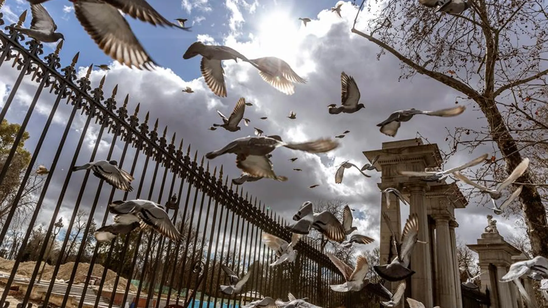 Varias palomas alzan el vuelo sobre la valla del parque del Retiro