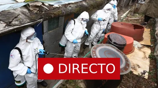 Últimas noticias del coronavirus en España, Madrid confirma 46 casos de COVID-19 y no descarta aumentar la alerta a la fase de mitigación Últimas noticias del coronavirus en España, Madrid confirma 46 casos de COVID-19 y no descarta aumentar la alerta a la fase de mitigación