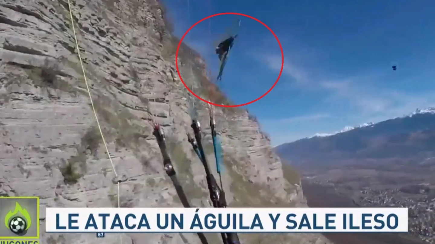 Un águila ataca a un parapentista. Un águila ataca a un parapentista.