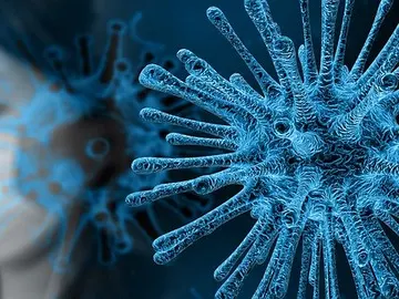 Coronavirus Coronavirus