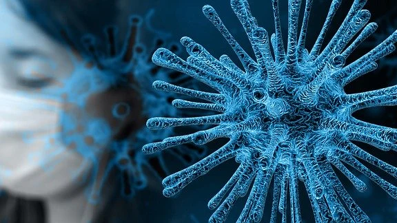 Coronavirus Coronavirus