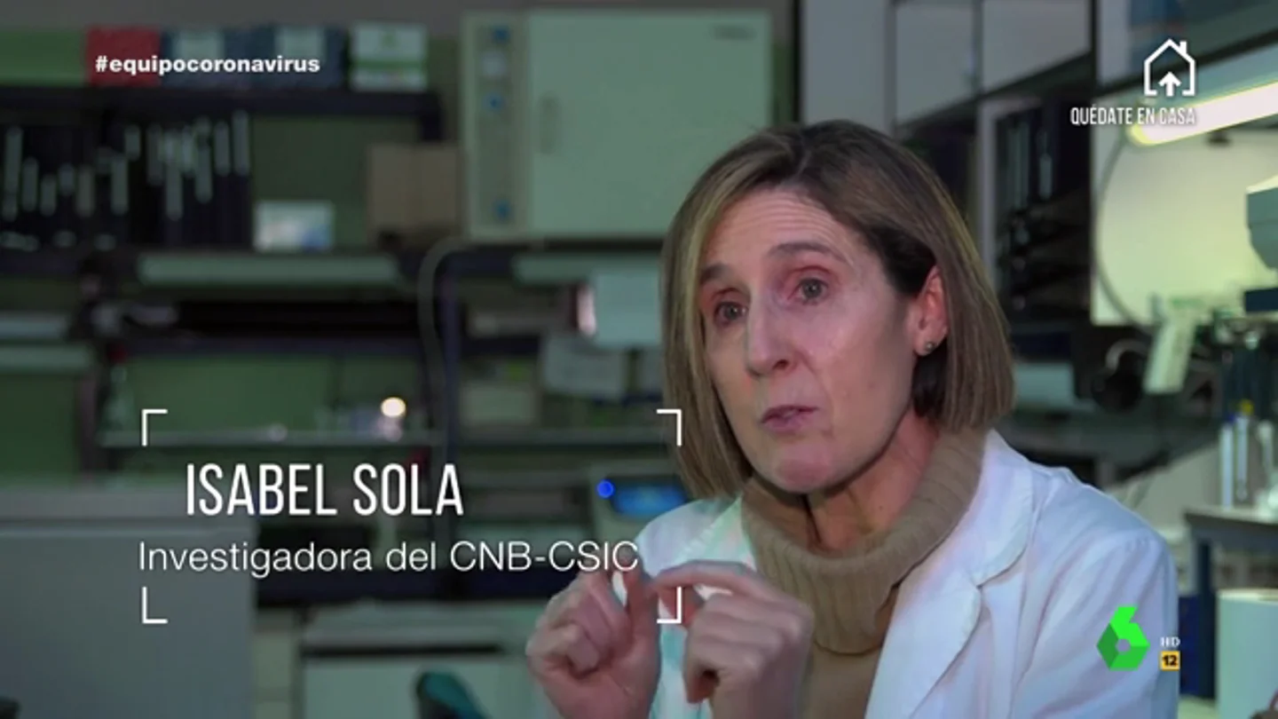 La investigadora Isabel Sola explica las "ventajas e inconvenientes" de las vacunas creadas en otros países contra el coronavirus La investigadora Isabel Sola explica las "ventajas e inconvenientes" de las vacunas creadas en otros países contra el coronavirus