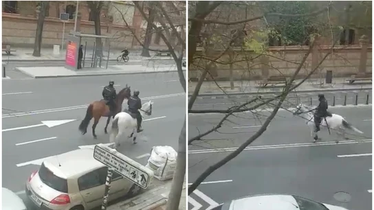 La Policía persigue a caballo a un ciclista La Policía persigue a caballo a un ciclista