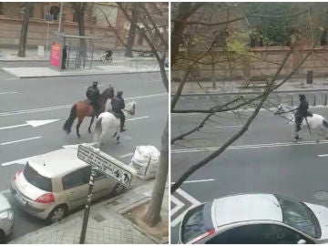La Policía persigue a caballo a un ciclista La Policía persigue a caballo a un ciclista