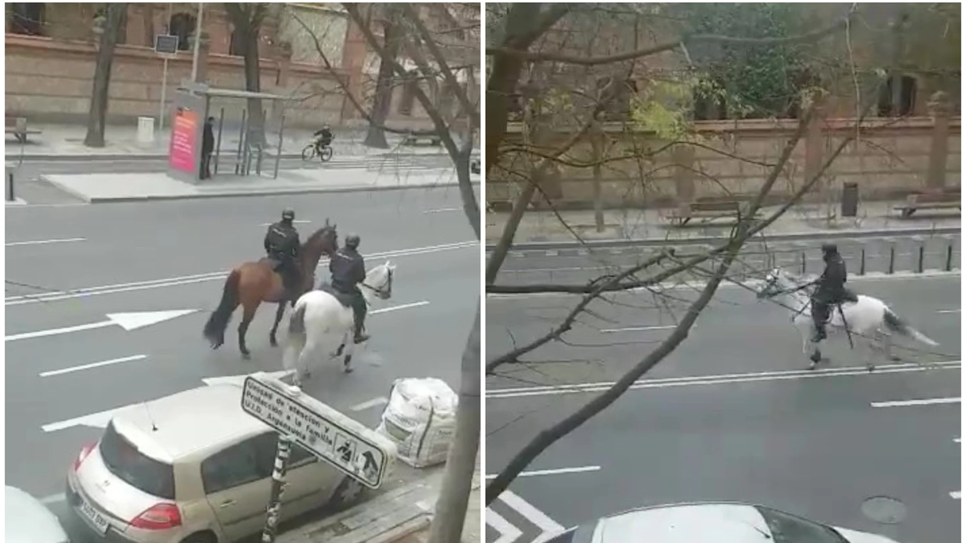 La Policía persigue a caballo a un ciclista